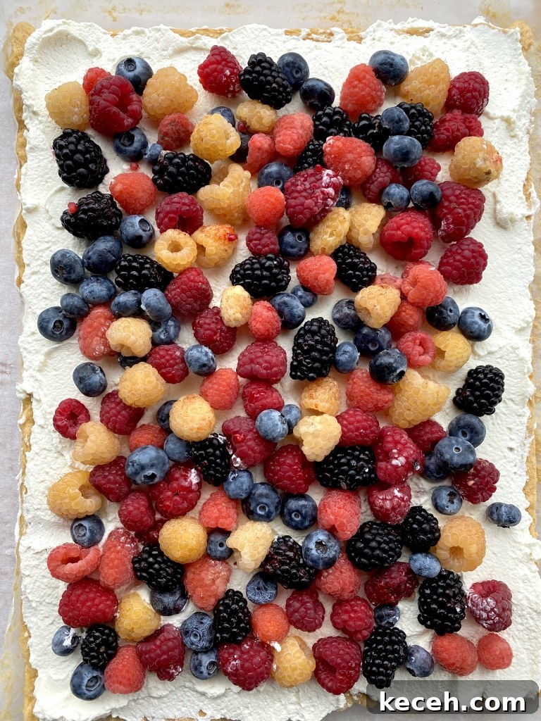 Berries and Vegan Cream Roulade (Gluten-Free Option) 5 img 23878 4
