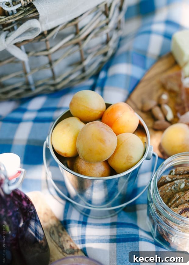 Apricots in a small metal pail on a picnic blanket.