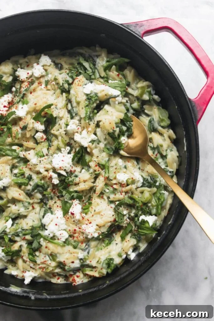 Creamy Spicy One-Pot Mac and Cheese Recipe 12 Creamy spinach and feta one pot orzo in a black and red pan on a grey marble background.