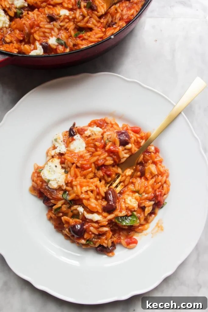 Creamy Spicy One-Pot Mac and Cheese Recipe 14 Tomato orzotto on a white plate with pan of more orzo in the background.