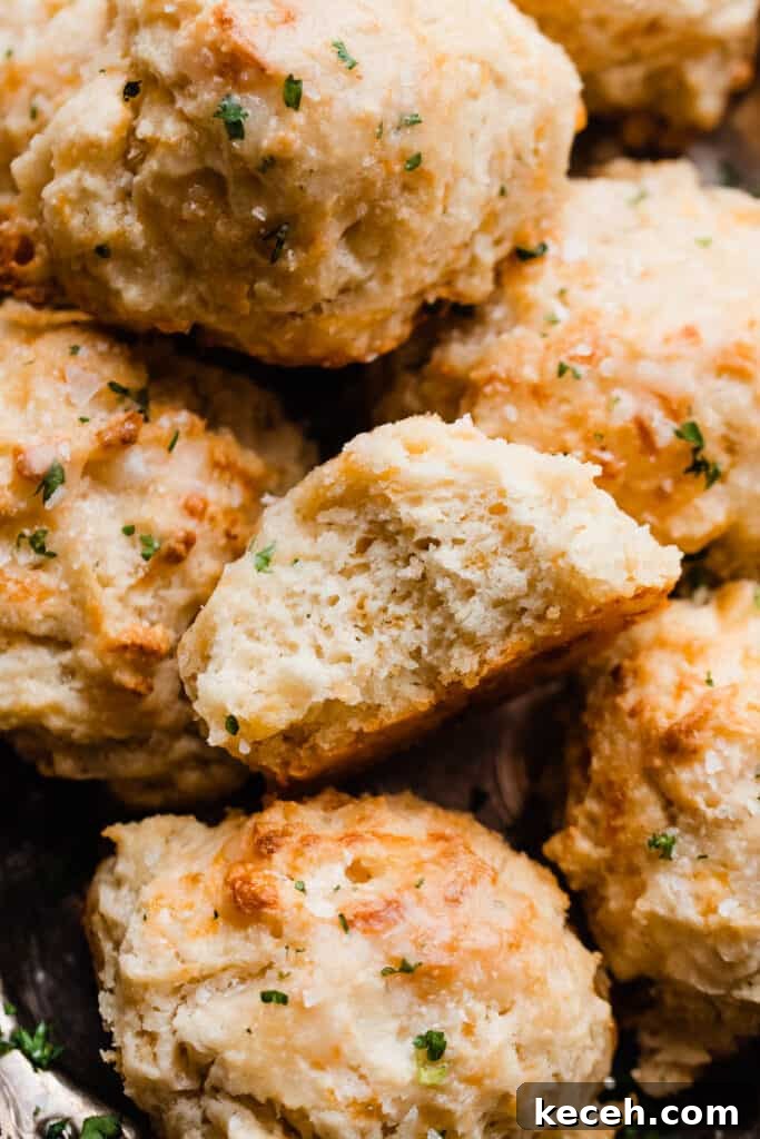 A close-up of the inside of a flaky biscuit.
