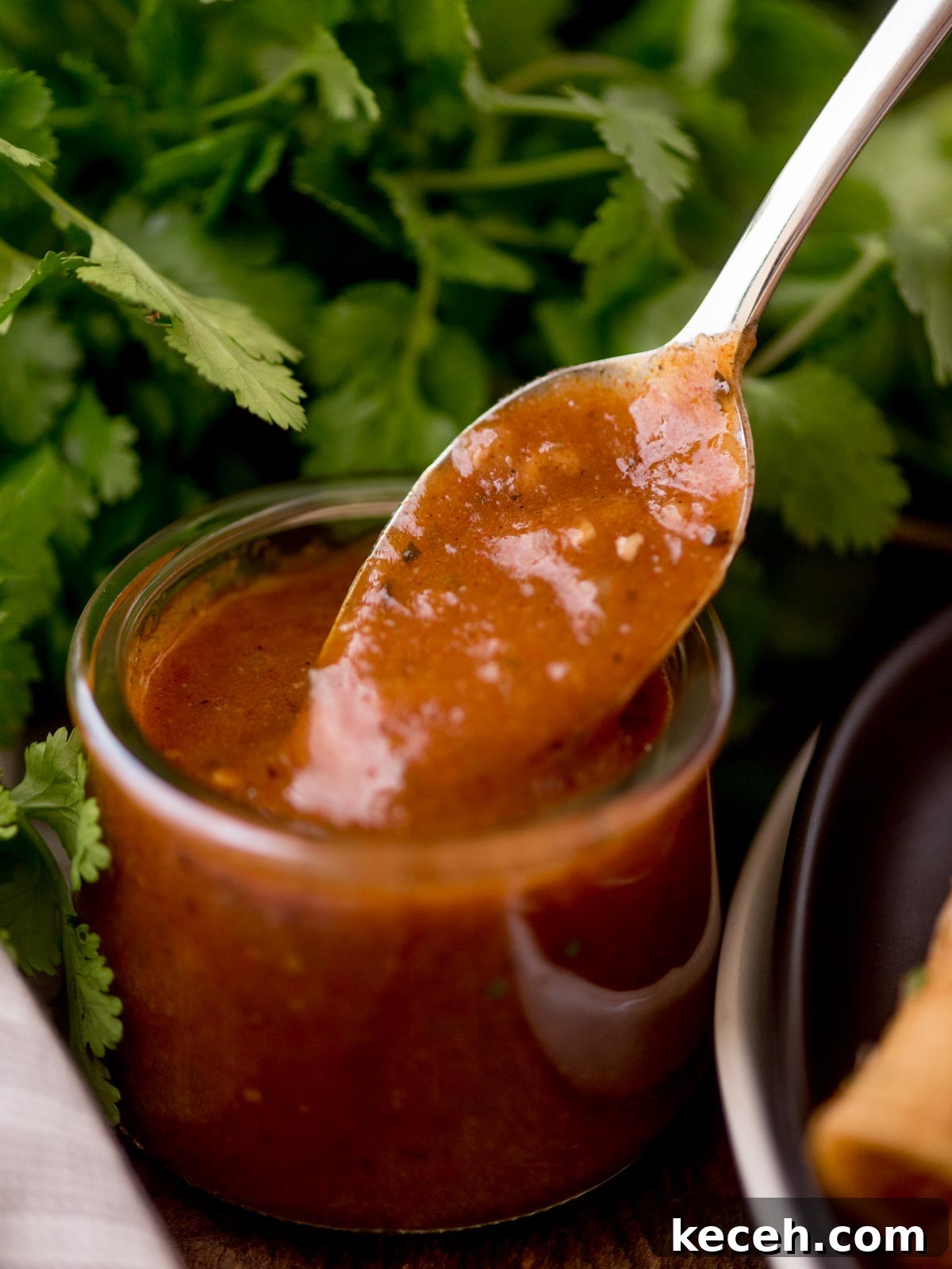 enchilada sauce in a glass jar with a spoon scooping it out surrounded by cilantro