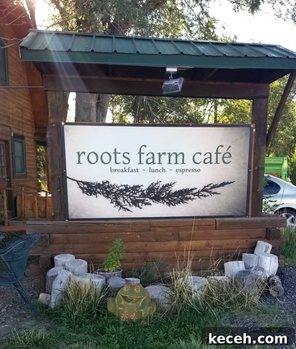 Roots Farm Cafe Roots Farm Cafe
