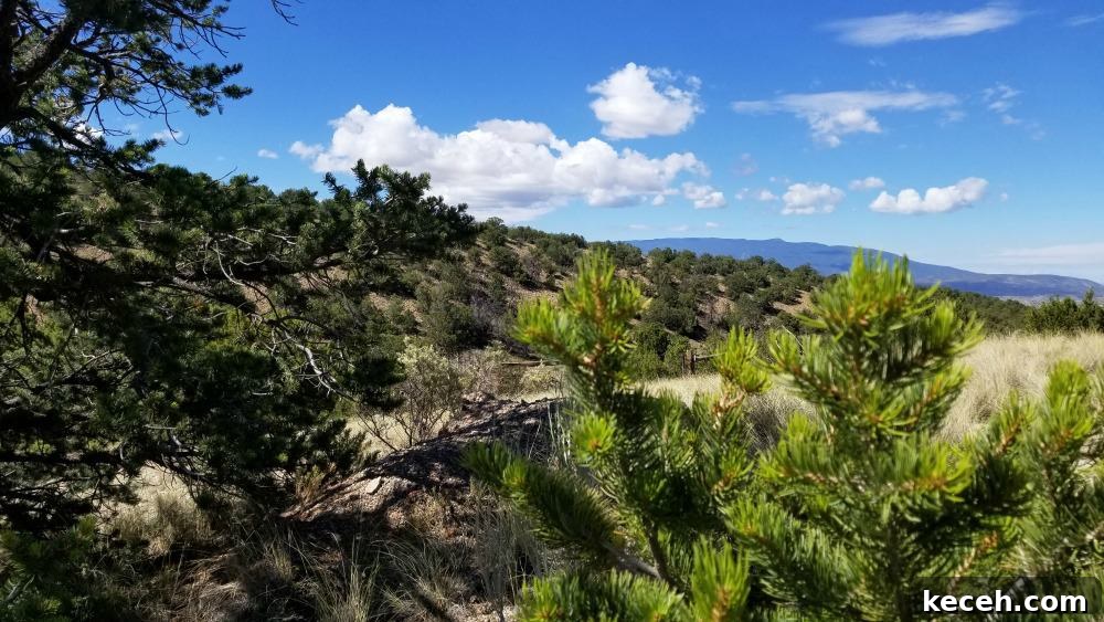 Turquoise Trail Turquoise Trail
