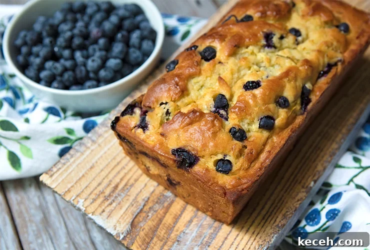 Lemony Zucchini, Blueberry & Buttermilk Bread and Coping with Loss 2 img 26849 1
