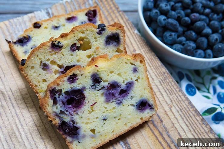 Lemony Zucchini, Blueberry & Buttermilk Bread and Coping with Loss 7 img 26849 6