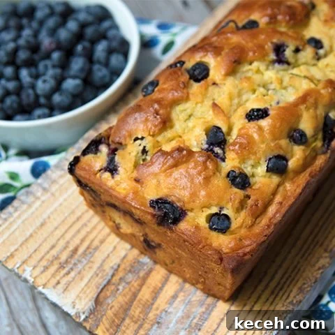  Zucchini, Blueberry & Buttermilk Bread