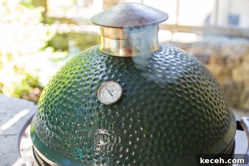 Big Green Egg Sweet and Sour Grilled Chicken Thighs Recipe 6 img 2695 5