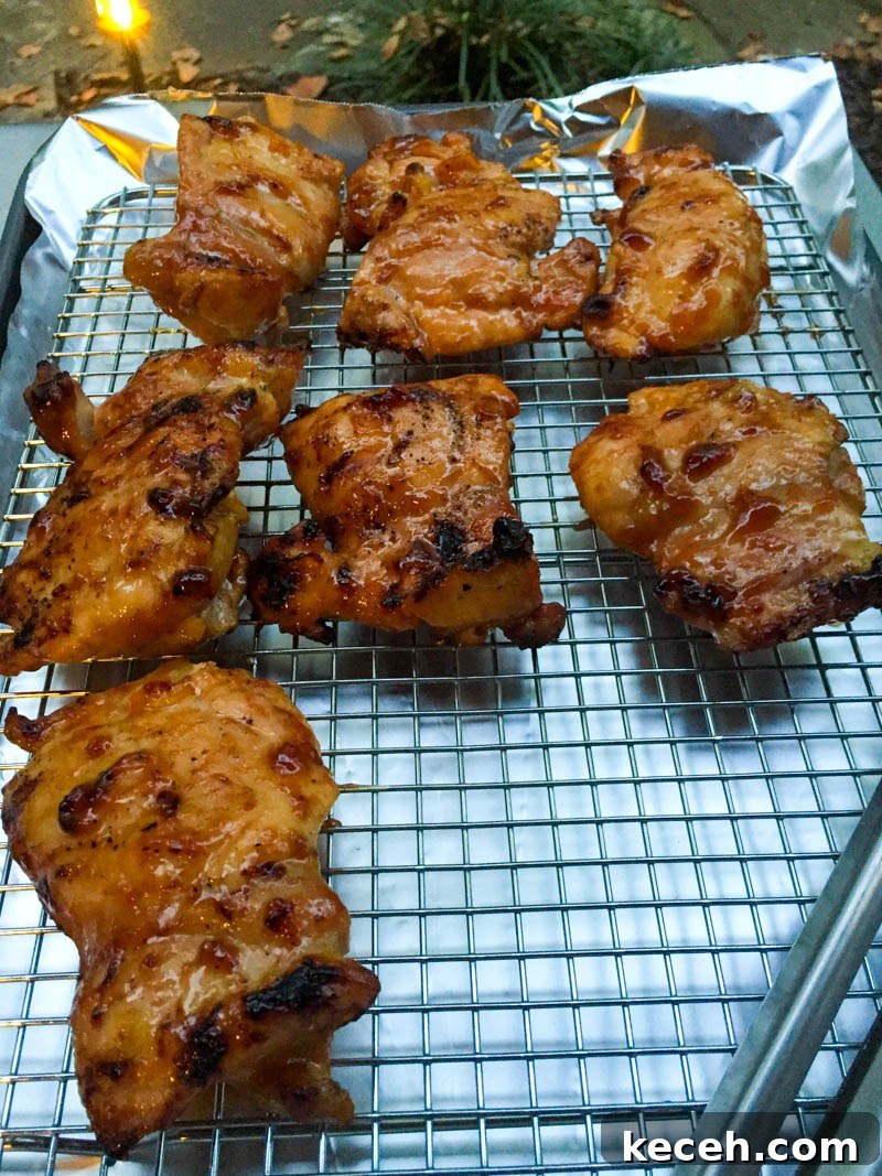 Big Green Egg Sweet and Sour Grilled Chicken Thighs Recipe 8 Big Green Egg Sweet and Sour Chicken Thighs