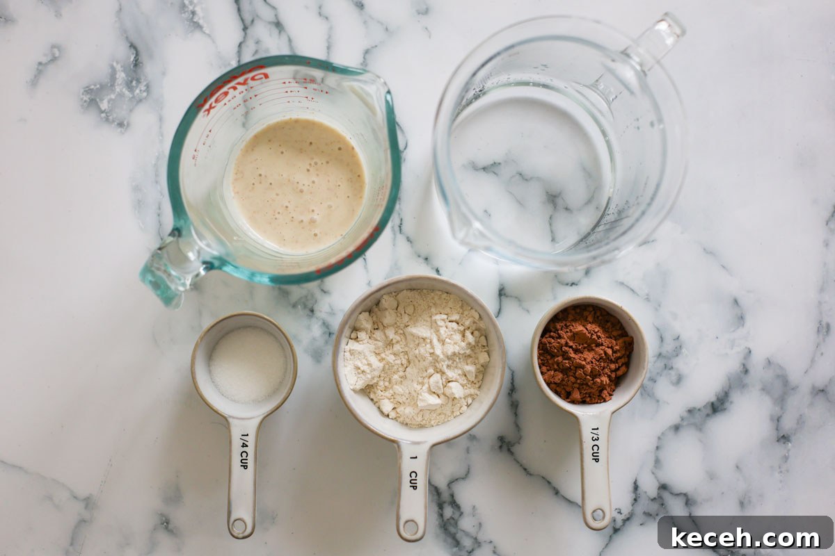 Sourdough Chocolate Starter: How to Make It and What to Use It For 3 Chocolate sourdough starter ingredients: sugar, cacao, flour, starter and water.