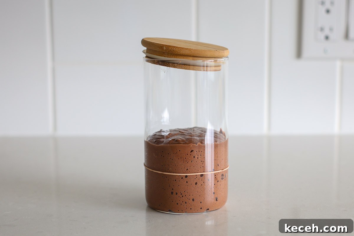 Sourdough Chocolate Starter: How to Make It and What to Use It For 5 Chocolate sourdough starter with bubbles and rubber band.