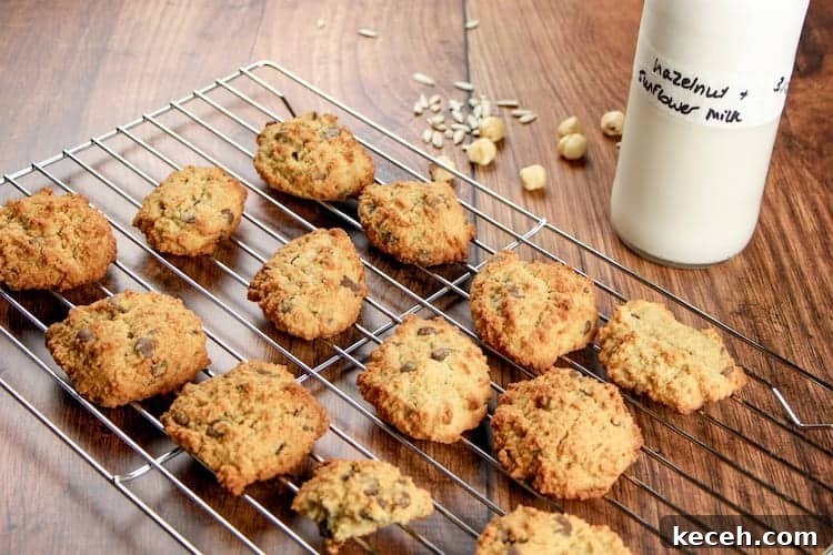 Hazelnut and Sunflower Seed Chocolate Chip Cookies on a cooling rack