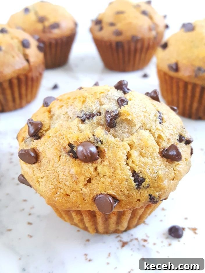 Whole Wheat Greek Yogurt Chocolate Chip Muffins Recipe 2 Healthy Greek Yogurt Chocolate Chip Muffins - No sugar, extra protein, oil instead of butter, sweetened with honey/maple syrup & easy to make. Perfect for a clean-eating breakfast or snack! | Beat Bake Eat