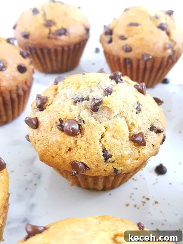 Whole Wheat Greek Yogurt Chocolate Chip Muffins Recipe 3 Healthy Greek Yogurt Chocolate Chip Muffins - No sugar, extra protein, oil instead of butter, sweetened with honey/maple syrup & easy to make. Perfect for a clean-eating breakfast or snack! | Beat Bake Eat