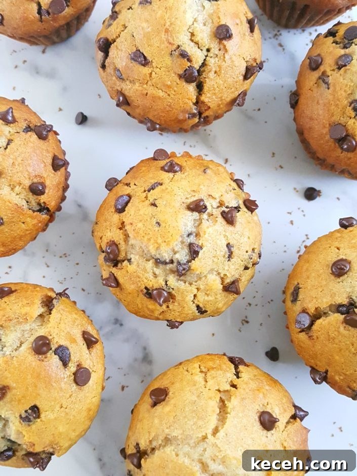 Whole Wheat Greek Yogurt Chocolate Chip Muffins Recipe 4 Healthy Greek Yogurt Chocolate Chip Muffins - No sugar, extra protein, oil instead of butter, sweetened with honey/maple syrup & easy to make. Perfect for a clean-eating breakfast or snack! | Beat Bake Eat