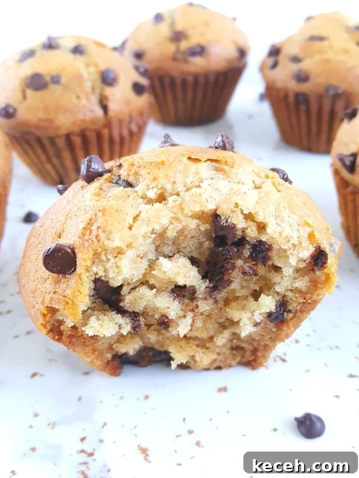 Whole Wheat Greek Yogurt Chocolate Chip Muffins Recipe 5 Healthy Greek Yogurt Chocolate Chip Muffins - No sugar, extra protein, oil instead of butter, sweetened with honey/maple syrup & easy to make. Perfect for a clean-eating breakfast or snack! | Beat Bake Eat