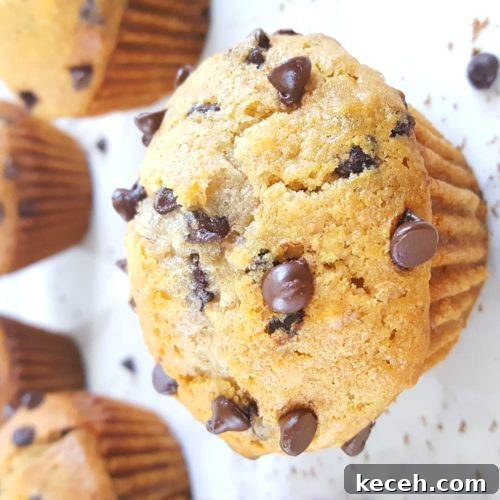 Whole Wheat Greek Yogurt Chocolate Chip Muffins Recipe 6 Healthy Greek Yogurt Chocolate Chip Muffins - No sugar, extra protein, oil instead of butter, sweetened with honey/maple syrup & easy to make. Perfect for a clean-eating breakfast or snack! | Beat Bake Eat