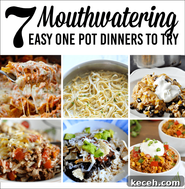 7 Flavor-Packed One-Pot Meals for Quick Weeknight Dinners 2 7 Mouthwatering Easy One Pot Dinners to Try www.thirtyhandmadedays.com