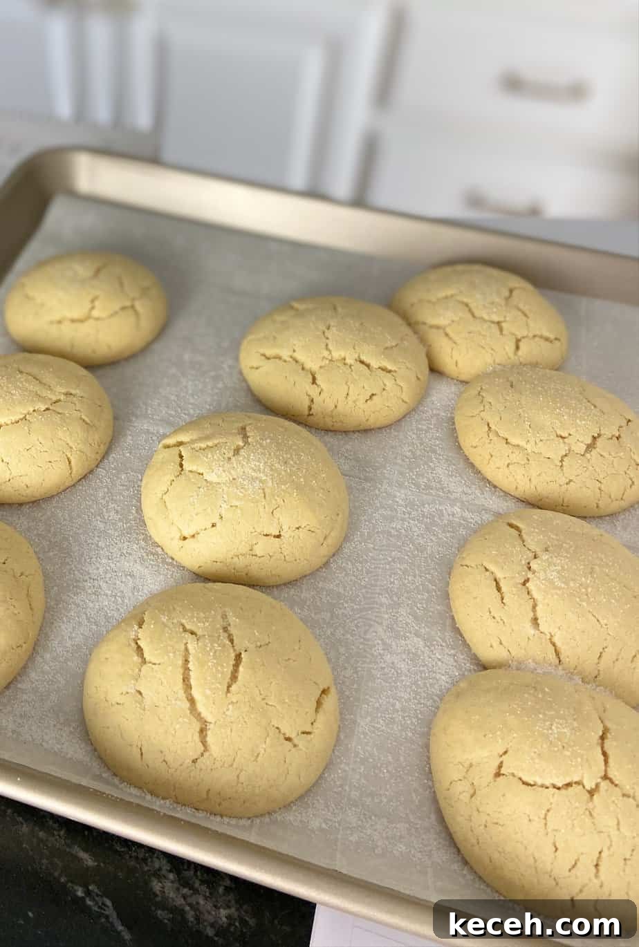 Perfect Cookie Dough Recipe for Baking and Safe Snacking 8 Baked cookies on baking sheet.