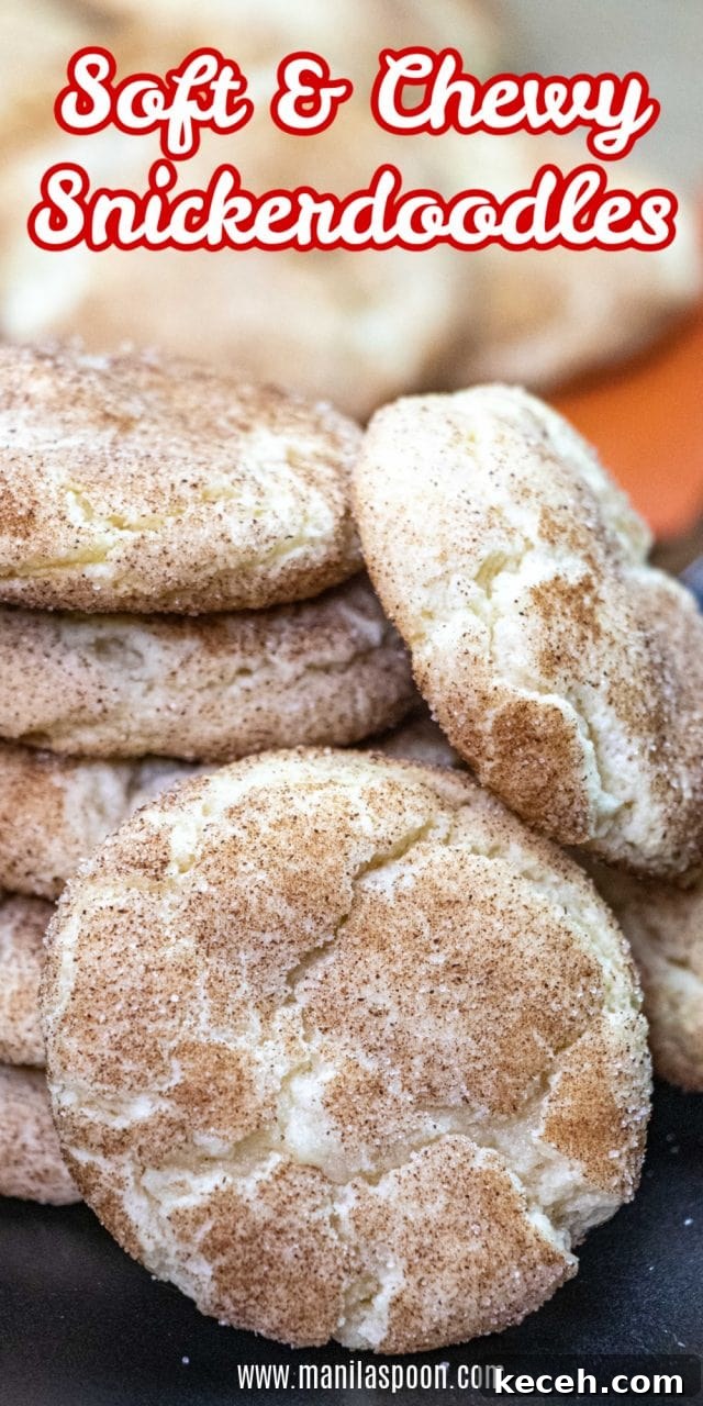 Buttery, pillowy-soft snickerdoodles with cinnamon Buttery, pillowy-soft snickerdoodles with cinnamon