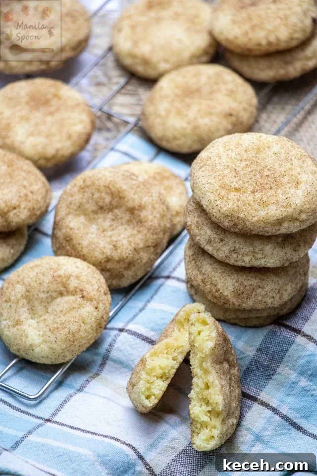 Freshly baked snickerdoodles Freshly baked snickerdoodles
