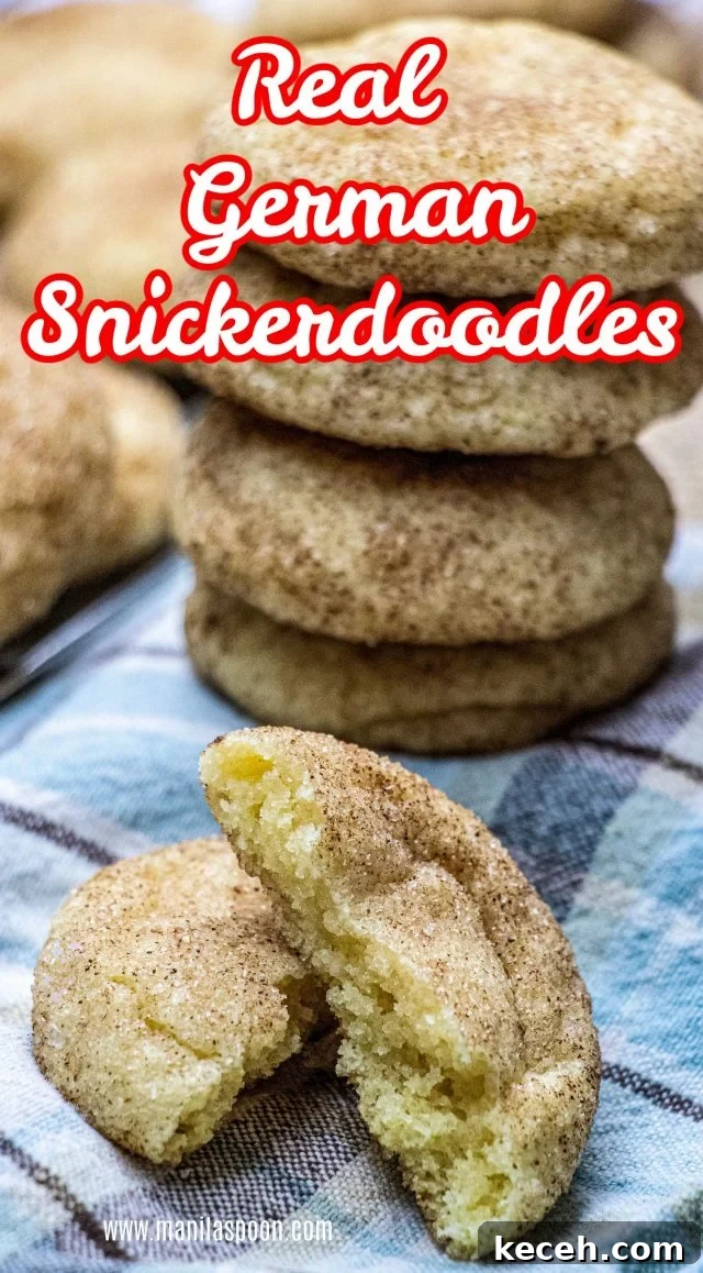 Closeup of a snickerdoodle Closeup of a snickerdoodle