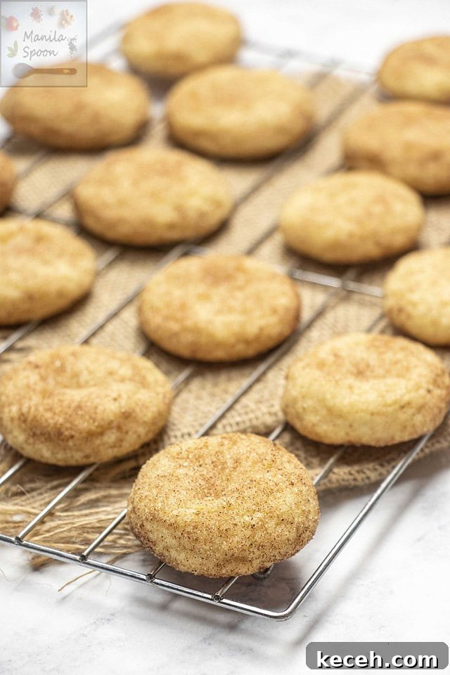 Cookies on cooling rack Cookies on cooling rack