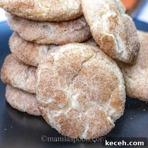 Authentic German Snickerdoodle Recipe — Classic Cinnamon Cookies 3 img 2868 8