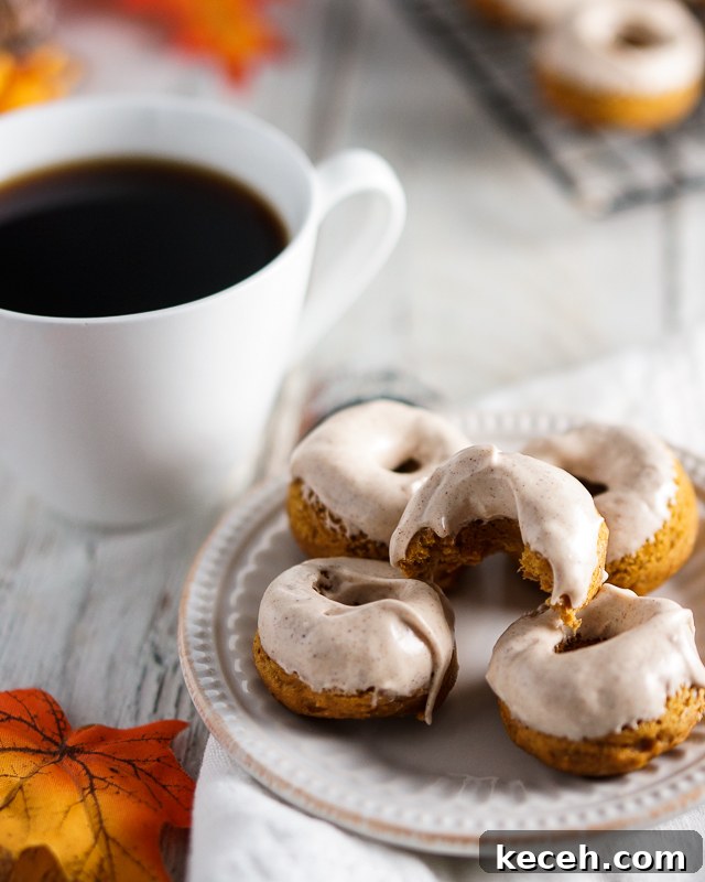 Pumpkin Roll Donuts Recipe: Soft Spiced Donuts with Cream Cheese Filling 5 img 3256 4