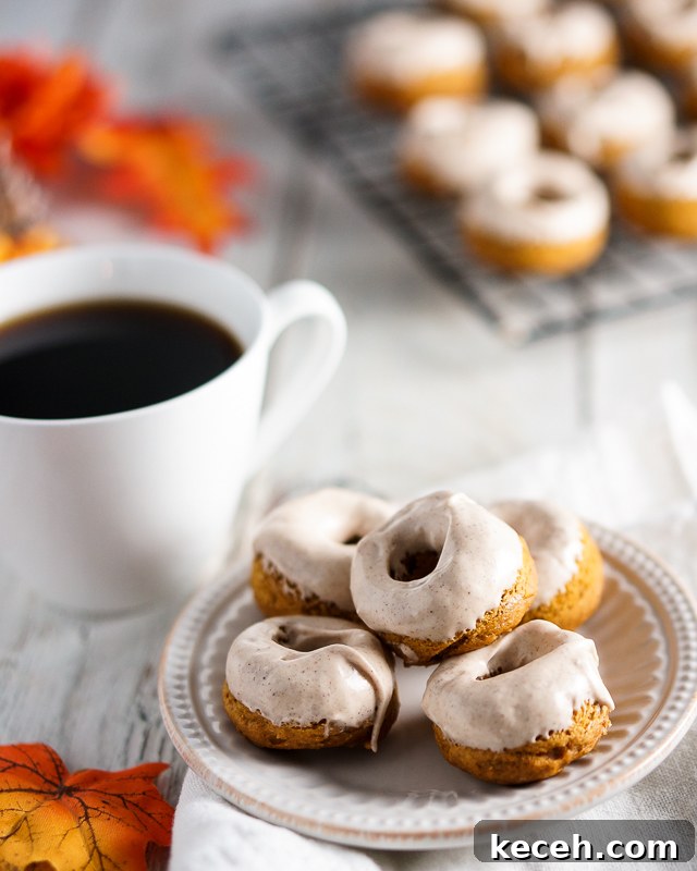 Pumpkin Roll Donuts, bite-sized spiced pumpkin donuts topped with a cinnamon cream cheese glaze.