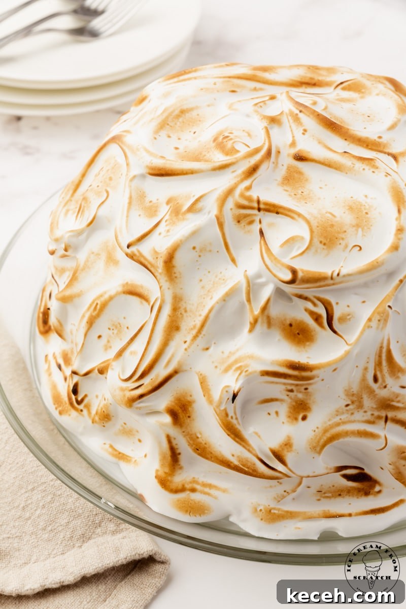 a plate of baked alaska, covered in toasted meringue. The dessert is formed into a dome shape.