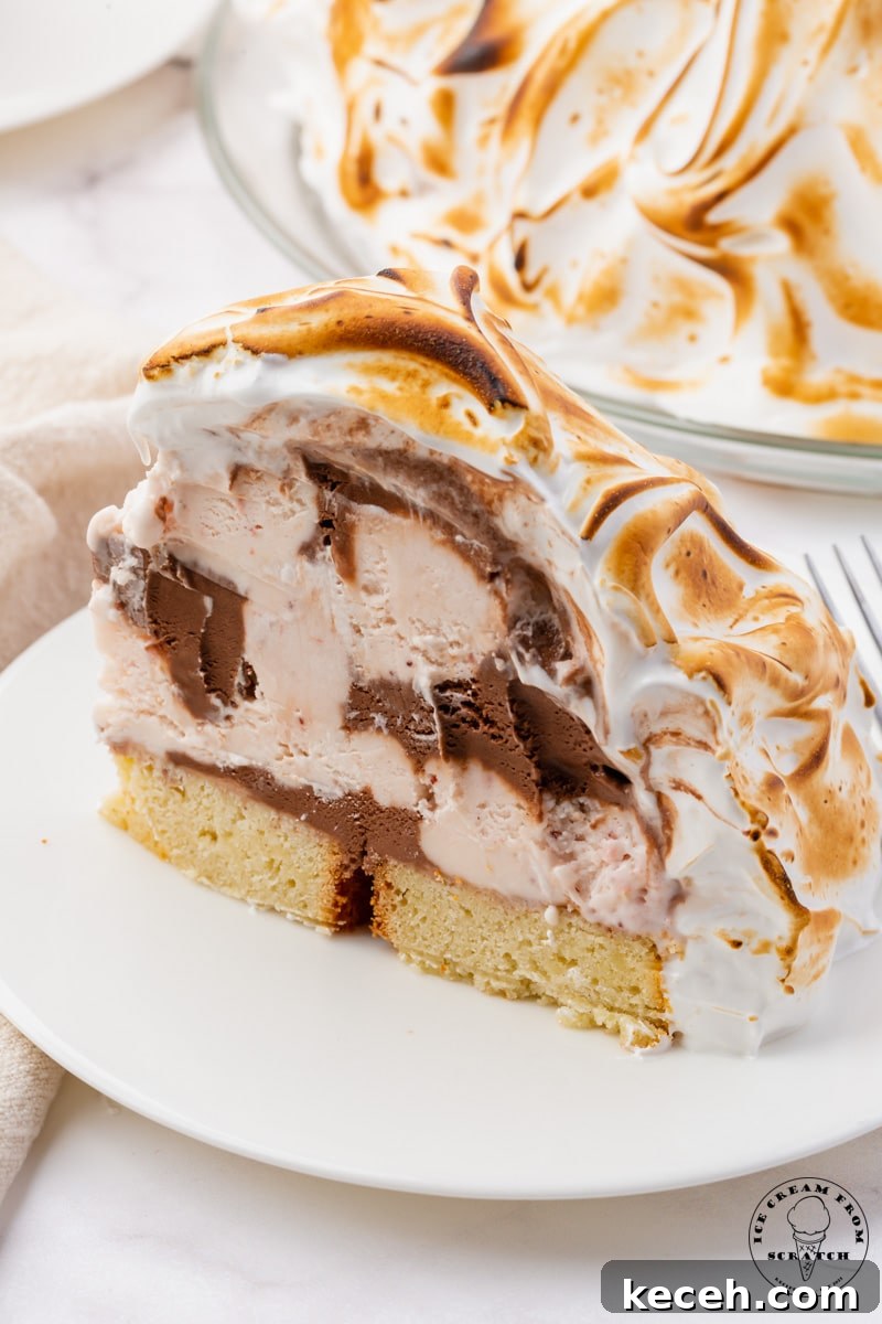 a slice of baked alaska, which is cake, topped with ice cream, then topped with toasted meringue.