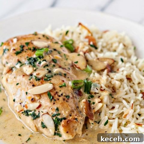 Creamy Orange Almond Chicken and Rice