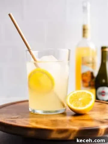 A cocktail glass filled with lemon slices and Prosecco.