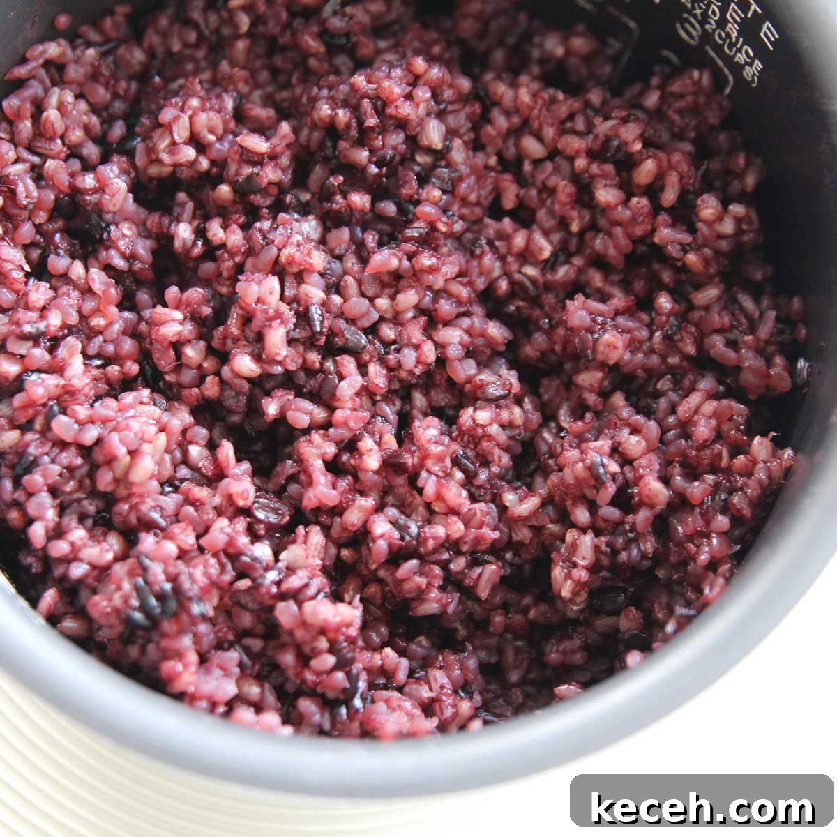Black Konjac Rice with Low-Carb Shirataki (흑미곤약밥) 17 img 33627 16