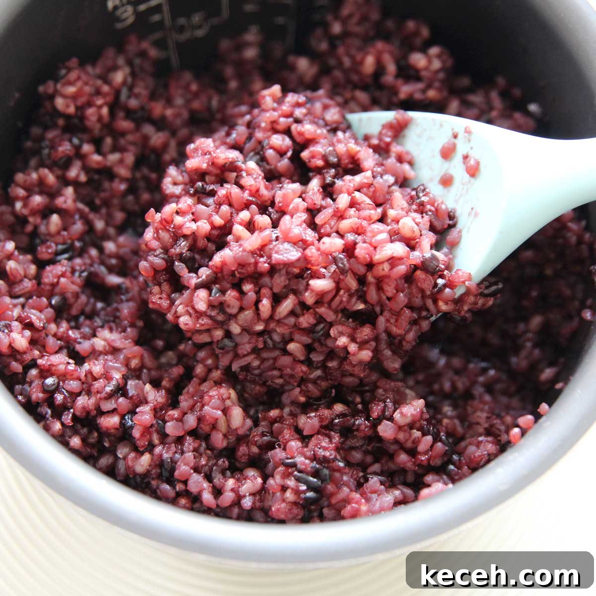 Black Konjac Rice with Low-Carb Shirataki (흑미곤약밥) 3 img 33627 2