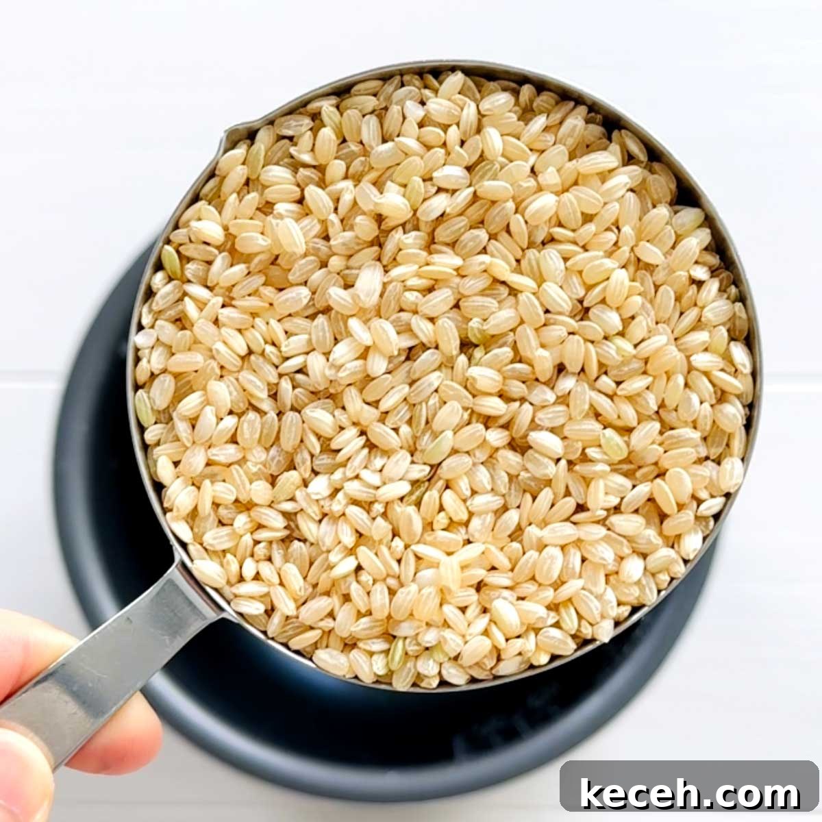 Black Konjac Rice with Low-Carb Shirataki (흑미곤약밥) 4 img 33627 3