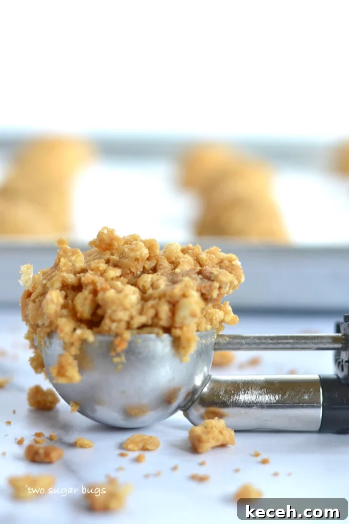 Crunchy Cookie Butter Cookies: Crispy, Spread-Infused Treats 8 cookie scoop of cookie dough