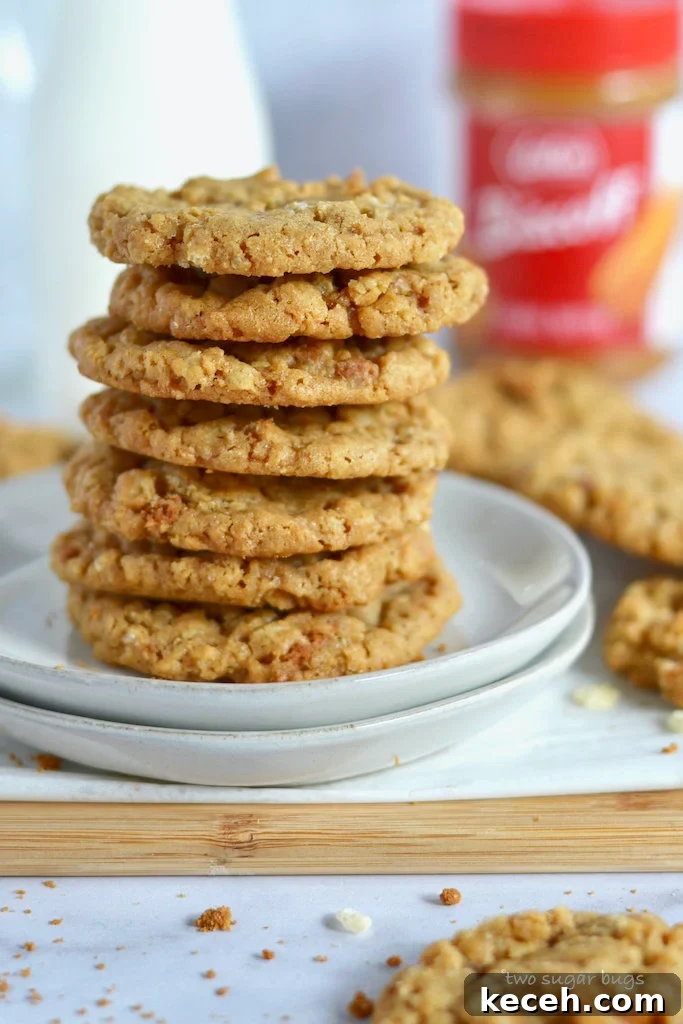Crunchy Cookie Butter Cookies: Crispy, Spread-Infused Treats 10 biscoff crispy cookies on a plate