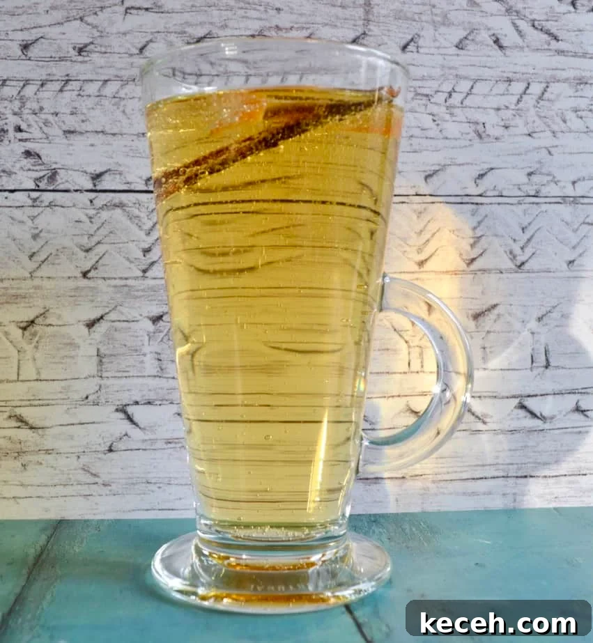 10 Delicious Gluten- and Dairy-Free Apple Recipes You’ll Love 10 mulled apple