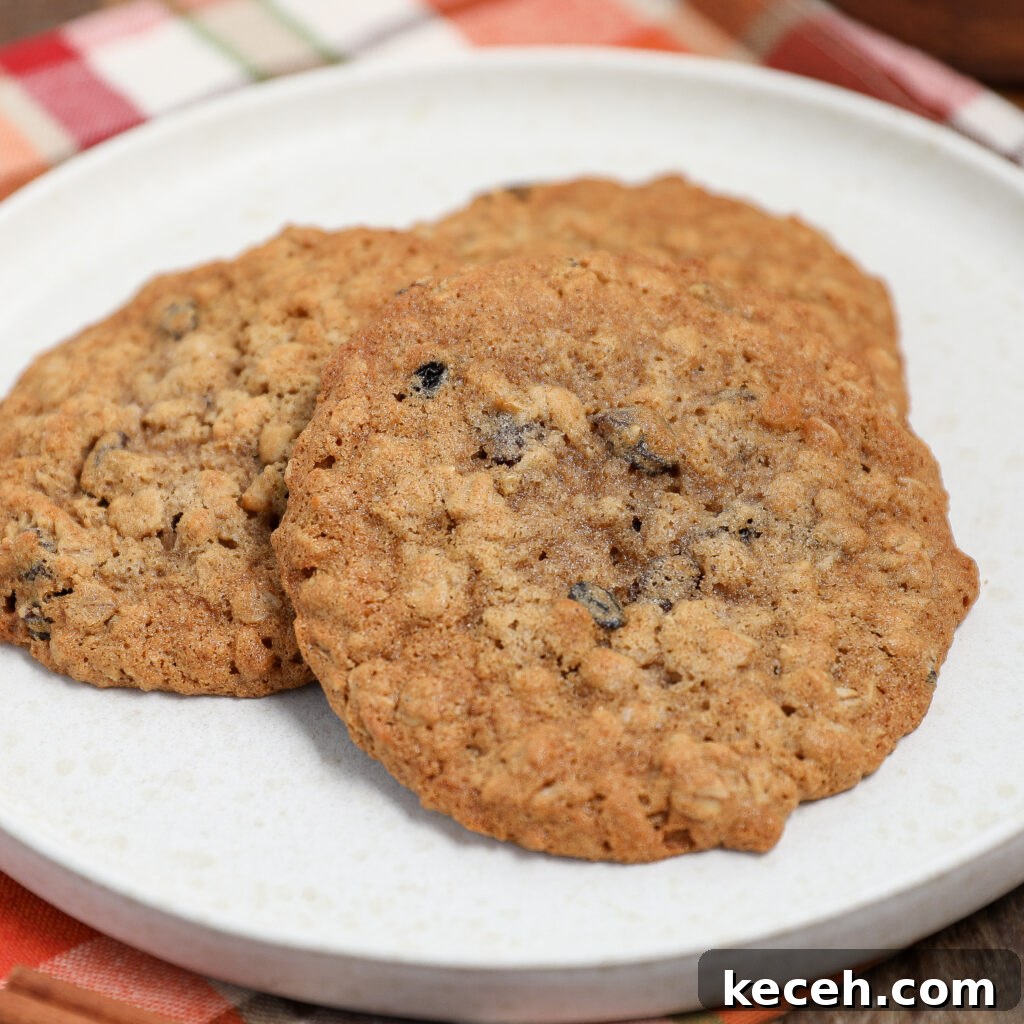 Three oatmeal raisin cookies are arranged on a white plate, sitting on a colorful plaid napkin. These classic oatmeal raisin cookies have a golden-brown color with visible oats and raisins.