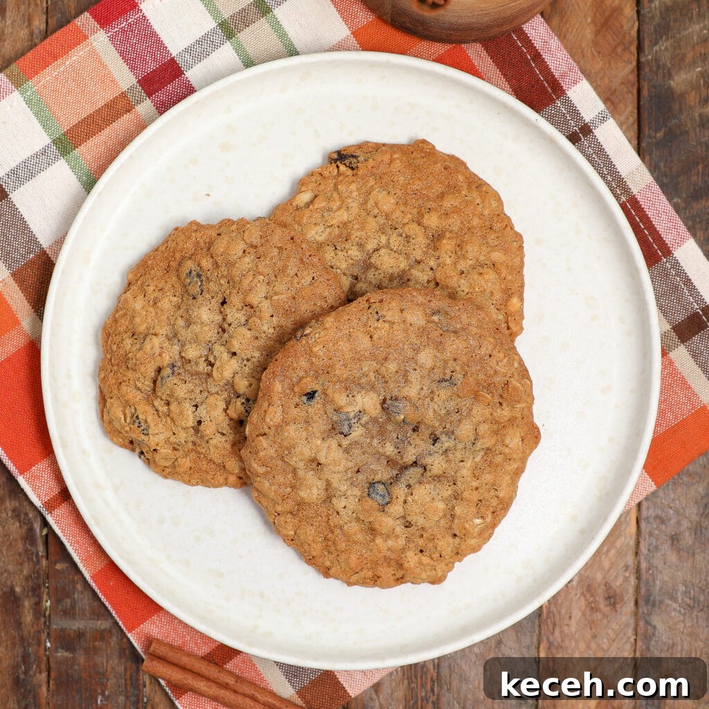 Three oatmeal raisin cookies rest on a white plate, placed on a colorful plaid napkin atop a rustic wooden table.