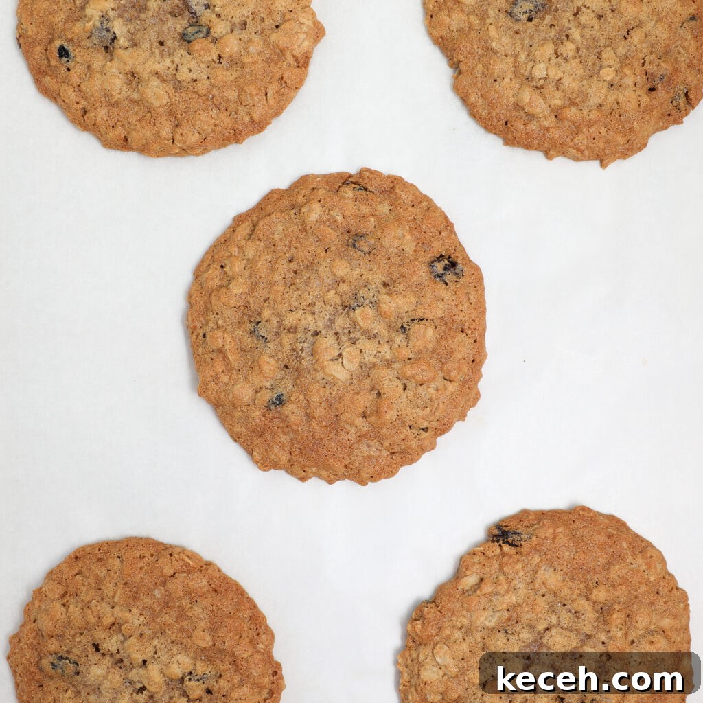 Five oatmeal raisin cookies are arranged in a loose circle on a white background, with the largest oatmeal raisin cookie positioned in the center.