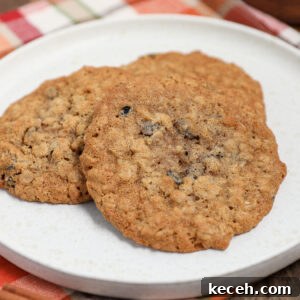 Three oatmeal raisin cookies are arranged on a white plate, sitting on a colorful plaid napkin. These classic oatmeal raisin cookies have a golden-brown color with visible oats and raisins.