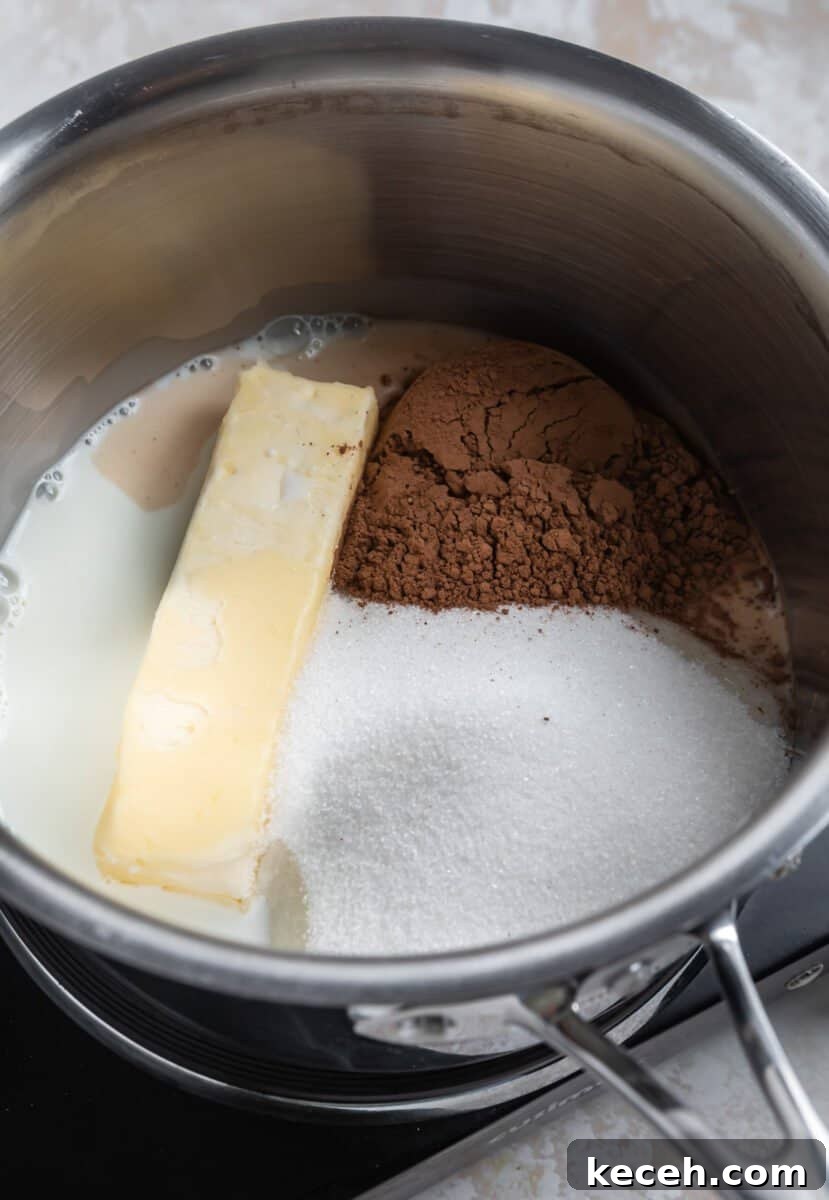 No-Bake Cookie Butter Treats: Quick No-Oven Dessert Recipe 4 Butter, sugar and cocoa powder in sauce pan.