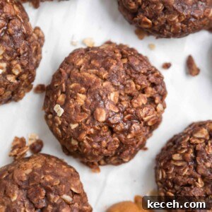 No-Bake Cookie Butter Treats: Quick No-Oven Dessert Recipe 10 Overhead view of cookie butter cookies with crumbs surrounding.
