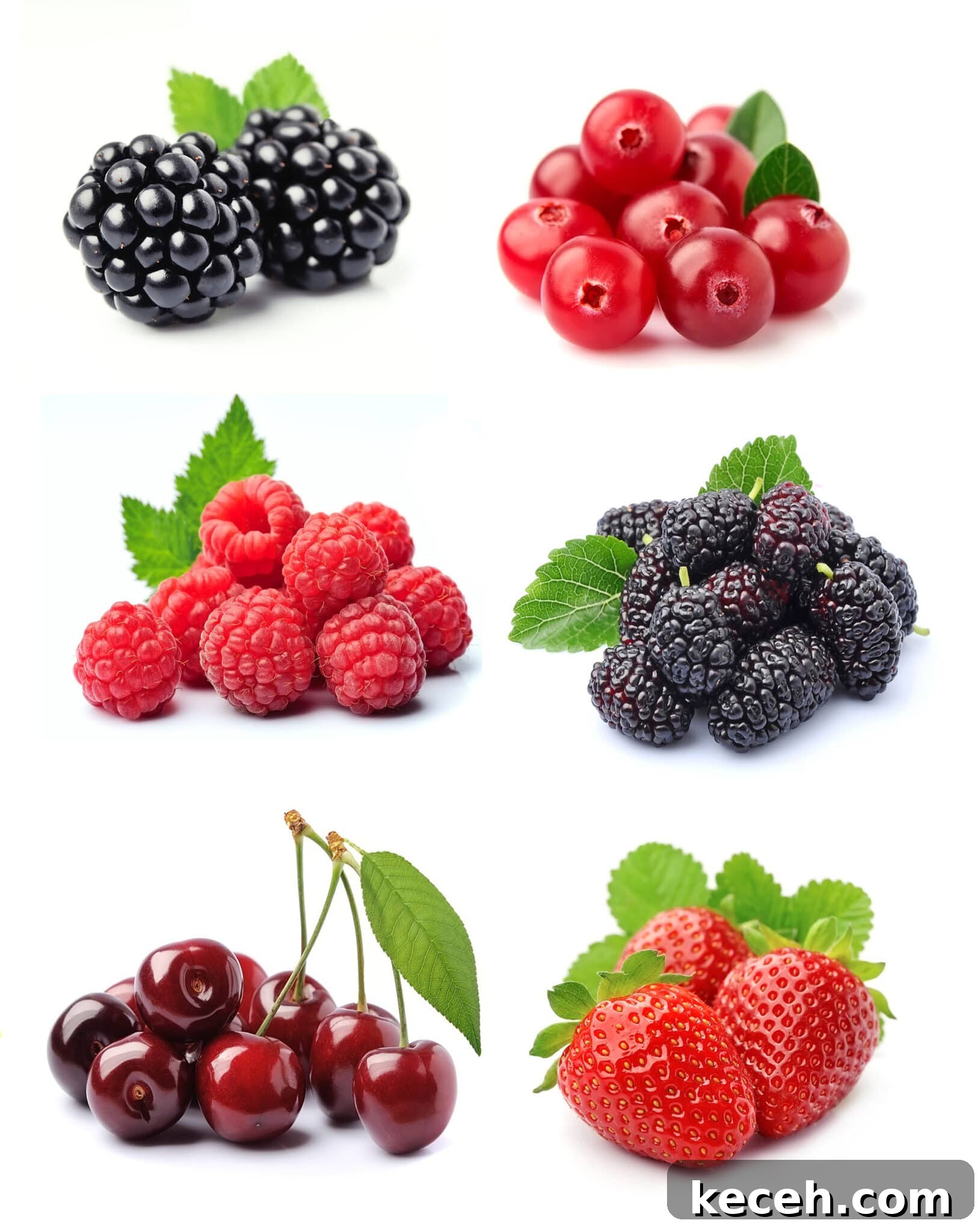 Low carb pantry essential berries & fruit isolated on a bright white background (cherries, blackberries, currents, raspberries, and strawberries) 