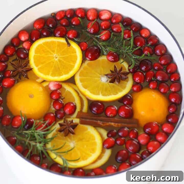 a dutch oven with resh poytpourri made of orange slices, rosemary, cranberries, cinnamon sticks, cloves, star anise and rosemary.