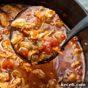 Fiery Chicken Soup Recipe for Bold, Comforting Flavor 12 a ladle full of spicy chicken soup over a full dutch oven