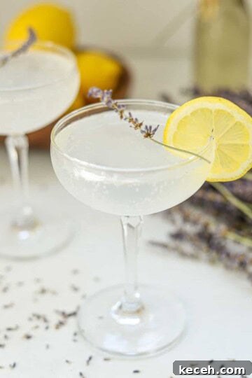 cocktail glass with lavender lemonade cocktail topped with lemon